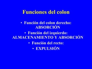 Funciones del colon Función del colon derecho: ABSORCIÓN Función del izquierdo: ALMACENAMIENTO Y ABSORCIÓN Función del recto: EXPULSIÓN 