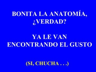 BONITA LA ANATOMÍA, ¿VERDAD? YA LE VAN ENCONTRANDO EL GUSTO (SI, CHUCHA . . .) 