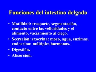 Funciones del intestino delgado Motilidad: trasporte, segmentación, contacto entre las vellosidades y el alimento, vaciamiento al ciego. Secreción: exocrina: moco, agua, enzimas. endocrina: múltiples hormonas. Digestión. Absorción.  