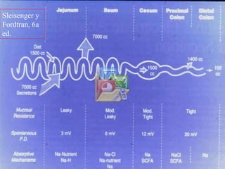 Sleisenger y Fordtran, 6a ed. 