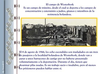 El campo de Westerbork
Es un campo de tránsito, desde el cual se deporta a los campos de
concentración y exterminio a judíos, gitanos y miembros de la
resistencia holandesa.
El 8 de agosto de 1944, los ocho escondidos son trasladados en un tren
de pasajeros a la localidad holandesa de Westerbork, donde van a
parar a unos barracones de castigo por no haberse presentado
voluntariamente a la deportación. Durante el día, tienen que
desarmar pilas usadas. Es un trabajo sucio e insalubre, pero al menos
los prisioneros pueden hablar entre sí.
 