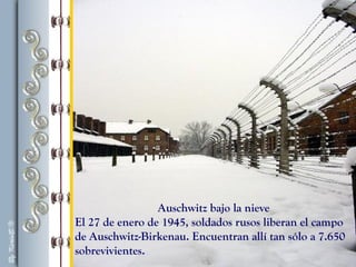 Auschwitz bajo la nieve
El 27 de enero de 1945, soldados rusos liberan el campo
de Auschwitz-Birkenau. Encuentran allí tan sólo a 7.650
sobrevivientes.
 