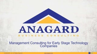 Management Consulting for Early Stage Technology
Companies
© ANAGARD, LLC, All Rights Reserved

www.anagard.com

1

8

 