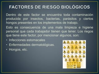 Dentro de este factor se encuentra toda contaminación
producida por insectos, bacterias, parásitos y ciertos
hongos presentes en los implementos de trabajo.
Esto es consecuencia de una mala limpieza e higiene
personal que cada trabajador tienen que tener. Los riegos
que tiene este factor, por mencionar algunos, son:
• Infecciones estomacales
• Enfermedades dermatológicas.
• Hongos, etc.
 