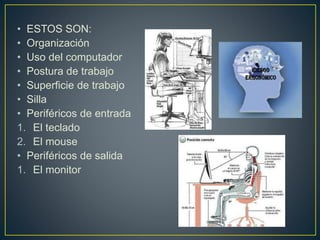 • ESTOS SON:
• Organización
• Uso del computador
• Postura de trabajo
• Superficie de trabajo
• Silla
• Periféricos de entrada
1. El teclado
2. El mouse
• Periféricos de salida
1. El monitor
 