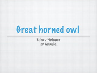 Great horned owl
     bubo virinianus
       by Anagha
 