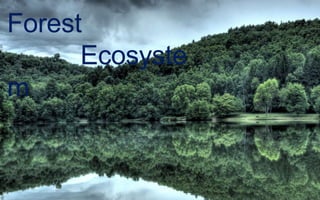 Forest
Ecosyste
m
 
