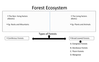 Forest Ecosystem | PPT