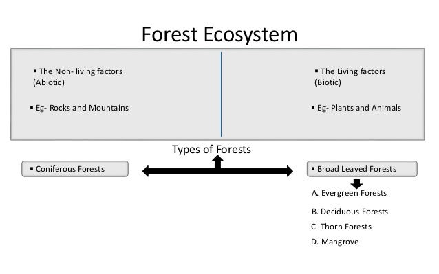 Flow Chart Of Classification Of Ecosystem