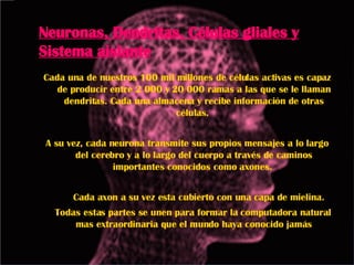 Neuronas, Dendritas, Células gliales y Sistema aislante Cada una de nuestros 100 mil millones de células activas es capaz de producir entre 2 000 y 20 000 ramas a las que se le llaman dendritas. Cada una almacena y recibe información de otras células.  A su vez, cada neurona transmite sus propios mensajes a lo largo del cerebro y a lo largo del cuerpo a través de caminos importantes conocidos como axones.  Cada axon a su vez esta cubierto con una capa de mielina. Todas estas partes se unen para formar la computadora natural mas extraordinaria que el mundo haya conocido jamás 