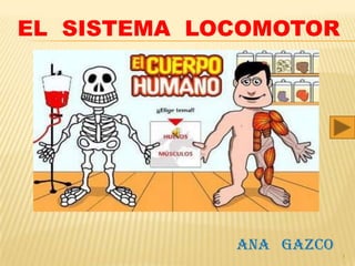EL SISTEMA LOCOMOTOR




             ANA GAZCO
                         1
 