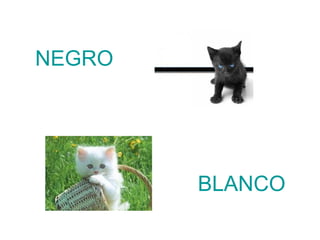NEGRO




        BLANCO
 