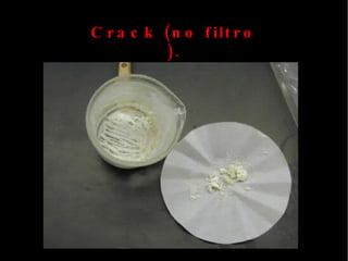 Ana h. gabriele e jhenifer