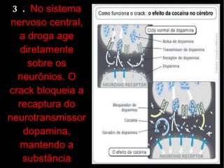 Ana h. gabriele e jhenifer