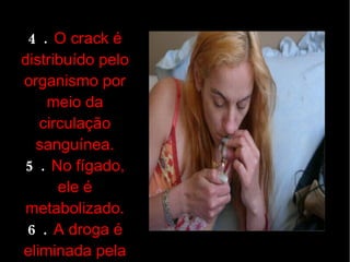 Ana h. gabriele e jhenifer