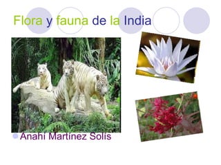 Flora   y   fauna   de   la   India ,[object Object]