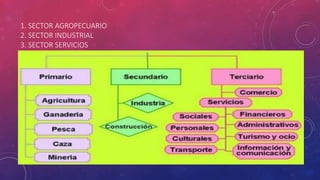 1. SECTOR AGROPECUARIO
2. SECTOR INDUSTRIAL
3. SECTOR SERVICIOS
 