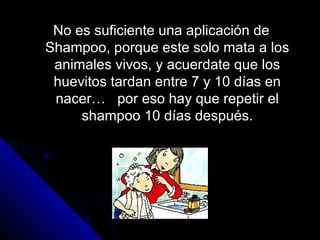 No es suficiente una aplicación deNo es suficiente una aplicación de
Shampoo, porque este solo mata a losShampoo, porque este solo mata a los
animales vivos, y acuerdate que losanimales vivos, y acuerdate que los
huevitos tardan entre 7 y 10 días enhuevitos tardan entre 7 y 10 días en
nacer… por eso hay que repetir elnacer… por eso hay que repetir el
shampoo 10 días después.shampoo 10 días después.
 