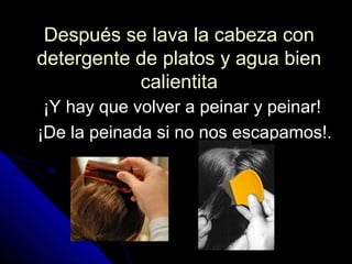 Después se lava la cabeza conDespués se lava la cabeza con
detergente de platos y agua biendetergente de platos y agua bien
calientitacalientita
¡Y hay que volver a peinar y peinar!¡Y hay que volver a peinar y peinar!
¡De la peinada si no nos escapamos!.¡De la peinada si no nos escapamos!.
 