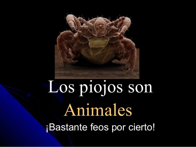 La máscara para los cabellos del temblor