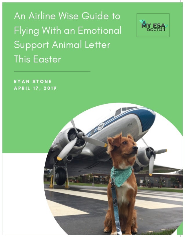 An Airline Wise G0uide To Flying With An Emotional Support Animal Let