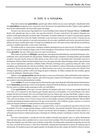 29
Geovah Paulo da Cruz
O TATU E A TANAJURA
Hoje não existem mais generalistas, aqueles que sabem muitas coisas e suas correlações.Atualmente todos
são especialistasemalgumacoisa,eignoramoresto.Eumesmosouespecialistaemolho.Vejamsóqueseqüência
incrível de conhecimentos são necessários para este artigo.
EunasciemecrieinaroçaelogodepoistiveorestodainfâncianumvilarejodoTriânguloMineiro.Aculturado,
desde cedo aprendi que tatu se come, mas que há restrições. O mais comestível é da espécie chamada tatu
galinha,muitoapreciadopeloexcelentesabor.Entretanto,naminhacidadenãosecomiao tatupeba pelaseguinte
razão: o cemitério ficava fora da cidade, limitando-se por um muro com um pasto de cavalos. Uma pessoa era
enterrada e já no dia seguinte se encontravam pedaços de seu corpo espalhados pelo pasto, passados por túneis
debaixodomuro,trazidospelostatus.Ocampoeracoalhadodeossos.Emoutroslocaisondenãoháesteproblema,
este tatu é também apreciado, assim como o tatu bola.
Na minha região se comia muito a tanajura, também chamada de içá em outros locais. Os índios a comiam
crua,masentrenóseratostadanachapa,comosefosseumapipoca.Gostosíssima.Fazia-sefarofabemtemperadinha.
Como pescador, das que sobravam, usava-as como isca de pesca.
MaistardemegradueiemBiologiaeaprendiqueotatuapresentapoliembrionia,maisparticularmente,tetra-
embrionia,istoé,nascemquatrodecadagestação.Tambémaprendiqueatanajuraéaformigarainha,quefecundada
em pleno vôo pelo macho, pousa no chão, perde as asas, fura o solo e se aprofunda nele, formando aí um novo
formigueiro.Daípordiantesuaúnicafunçãoéporovos,dosquaisnascerãooutrasformigasestéreis,quenãofazem
sexo, nem se reproduzem, operárias, soldados, babás. Pertence à formiga saúva, aquela da cabeça de vidro, voraz
cortadeira,quedizimatudoemvoltadeseuhabitat.Antesdosmodernosvenenosformicidaseraquaseimpossível
controlá-la. Havia até um ditado que dizia: ou o Brasil acaba com a saúva, ou a saúva acaba com o Brasil. Esta
formiga é agricultora, planta e cultiva um fungo do qual se alimenta.As folhas cortadas não são comidas, apenas
servem de adubação, alimento para o fungo.
Depois,comoagropecuaristaaprendiquehojeseusamiscasformicidas,grãospeletizadosmuitocheirosos,
contendo casca de laranja e outros vegetais, que elas levam para o interior do formigueiro e envenenam os fungos,
quecomememorrem,principalmentearainha.
Comomédico,fizcursonoantigoServiçoNacionaldeLepra,hojechamadaeufemisticamentedehanseníase.
Como hansenista aprendi que o tatu é um hospedeiro natural do bacilo de Hansen e que não desenvolve a doença.
Por este motivo é muito usado na pesquisa sobre este mal bíblico.
Como gastrônomo, inferi que o enorme abdome da tanajura nada mais é do que um grande depósito de
ovos. Ora, ovo é comestível, não importa qual. Sempre apreciei ova de galinha, ovos em formação e em vários
estágios de desenvolvimento. Em casa, nós brigávamos por ela. Depois que vim para São Paulo, conheci o mar e
passei a apreciar frutos marinhos, conheci a ova de tainha, coisa apreciadíssima em gastronomia. Melhorando de
vida,comicaviarmuitasvezes.Caviaréconservadeovosdeesturjão,umpeixedaEuropaOriental.Nãofoidifícil
concluir que bunda de tanajura nada mais é do que caviar terrestre, e dos melhores, já que os peixes e os insetos
aindasãoanimaisinferioresemuitopróximosentresinaescalazoológica.
Entendido de embriologia, sei que o ovo, qualquer deles, é um ser em potencial, que deriva de um óvulo
fecundado. O óvulo é sempre grande porque contém um lanche, uma matula chamada vitelo, para alimentar o
embrião a ser desenvolvido. Nos peixes e insetos este bornal cheio de lipídios e albumina é muito nutritivo, o
suficiente para fornecer matéria prima para a formação do embrião, porque a incubação é externa, fora do corpo
da mãe.
Eu estava desmatando o cerrado de uma das minhas fazendas para plantar soja e os peões diariamente
matavam tatus para comer e penduravam os cascos nas árvores residuais. Elas ficavam parecendo árvore de natal.
Não gostei daquilo, mas não tinha como controlar a ação deles. Eu tinha arado e preparado um pedaço de terra de
cor clara, era noite de lua cheia e o chão ficou iluminado, atraindo por fototropismo centenas de tanajuras que lá
aterrizaram. De manhã eu passei por aquela quadra, do tamanho de uns dois campos de futebol e observei muitos
x jornada - anais_21x297_136p.pmd 10/9/2009, 14:0829
 