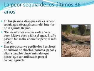 La peor sequia de los últimos 36
años
 En los 36 años dice que ésta es la peor
sequía que afecta al sector del interior
de la Quinta Región.
 “De los últimos cuatro, cada año es
peor. Llueve poco y falta el agua. El año
pasado fue malo, ahora fue peor, el más
malo”,.
 Este productor ya perdió dos hectáreas
de cultivos de choclos, porotos, papas y
alfalfa para los cinco animales que
posee, que son utilizados para el
trabajo agrícola.
 