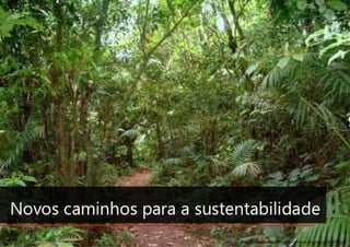 Anais do 3° Simpósio Paranaense de Design Sustentável 2
http://static.panoramio.com/photos/original/5546330.jpg
 