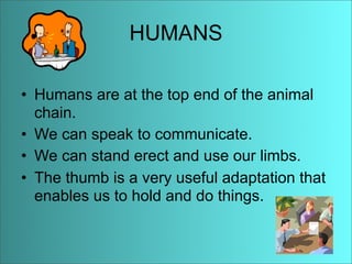 Anaise Animal Adaptations