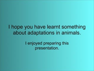 Anaise Animal Adaptations