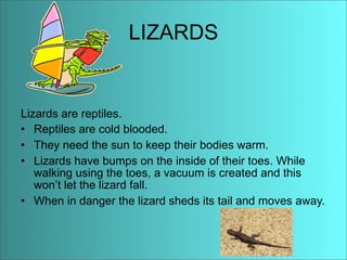 Anaise Animal Adaptations