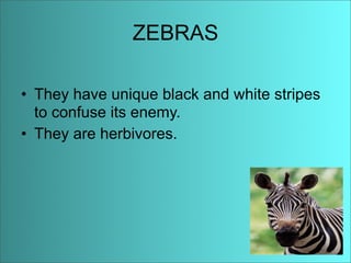 Anaise Animal Adaptations