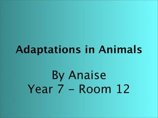 Adaptations in Animals

      By Anaise
  Year 7 - Room 12