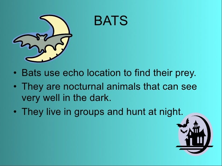 Anaise Animal Adaptations