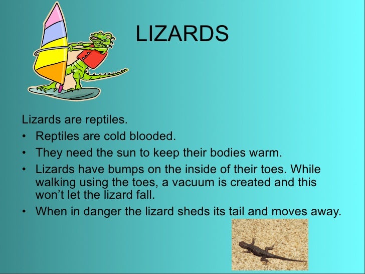 Anaise Animal Adaptations