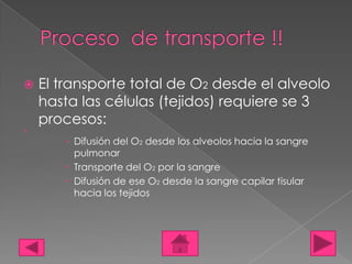    El transporte total de O2 desde el alveolo
    hasta las células (tejidos) requiere se 3
    procesos:




        Difusión del O2 desde los alveolos hacia la sangre
         pulmonar
        Transporte del O2 por la sangre
        Difusión de ese O2 desde la sangre capilar tisular
         hacia los tejidos
 