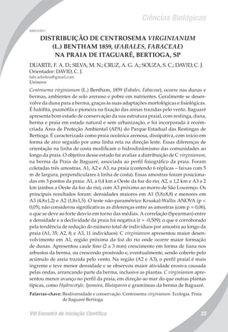 Ciências Biológicas
VIII Encontro de Iniciação Científica 23
008413/2011
DISTRIBUIÇÃO DE CENTROSEMA VIRGINIANUM
(L.) BENTHAM 1859, (FABALES, FABACEAE)
NA PRAIA DE ITAGUARÉ, BERTIOGA, SP
DUARTE, F. A. D.; SILVA, M. N.; CRUZ, A. G. A.; SOUZA, S. C.; DAVID, C. J.
Orientador: DAVID, C. J.
fabi.arboleia@gmail.com
Uninove
Centrosema virginianum (L.) Bentham, 1859 (Fabales, Fabaceae), ocorre nas dunas e
bermas, ambientes de solo arenoso e pobre em nutrientes. Geralmente se desen-
volve da duna para a berma, graças às suas adaptações morfológicas e fisiológicas.
É halófita, psamófila e pioneira na fixação das areias trazidas pelo vento. Itaguaré
apresenta bom estado de conservação da sua estrutura praial, com restinga, duna,
berma e praia em estado natural e sem urbanização, e foi incorporada à recém-
criada Área de Proteção Ambiental (APA) do Parque Estadual das Restingas de
Bertioga. É caracterizada como praia oceânica arenosa, dissipativa, com início em
forma de arco seguido por uma linha reta na direção leste. Essas diferenças de
orientação na linha de costa modificam o hidrodinâmismo das comunidades ao
longo da praia. O objetivo desse estudo foi avaliar a distribuição de C virginianum,
na berma da Praia de Itaguaré, associada ao perfil fisiográfico da praia. Foram
coletadas três amostras, A1, A2 e A3, na praia (contendo 6 réplicas – faixas com 5
m de largura, perpendiculares à linha de costa). Essas amostras foram posiciona-
das em 3 pontos da praia: A1, a 0,4 km a Oeste da foz do rio; A2, a 1,2 km e A3 a 2
km (ambos a Oeste da foz do rio), com A3 próximo ao morro de São Lourenço. Os
principais resultados foram: densidades maiores em A1 (5,8±8,8) e menores em
A3 (4,8±1,2) e A2 (1,8±1,5). O teste não-paramétrico Kruskal-Wallis ANOVA (p <
0,05), não considerou significativas as diferenças entre as amostras (com p = 0,06),
o que se deve ao forte desvio em torno das médias. A correlação (Spearman) entre
a densidade e a declividade da praia foi negativa (r = -0,509), o que é corroborado
pela tendência de redução do número total de indivíduos por amostra ao longo da
praia (A1, 35; A2, 8; e A3, 11 indivíduos). C virginianum apresentou maior desen-
volvimento em A1, região próxima da foz do rio onde ocorre maior formação
de dunas. Apresentou caule fino (2 a 3 mm) crescimento em forma de liana nos
arbustos da berma, ou crescendo prostrado e, eventualmente, sendo coberto pelo
acúmulo de areia trazida pelo vento. Na região (A2 e A3), o perfil praial é mais
ingreme e teve menor densidade e se observou maior atividade erosiva causada
pelas ondas, arrancando parte da berma, inclusive as plantas. C virginianum apre-
sentou menor avanço no perfil da praia, em direção ao mar do que outras plantas
típicas, como Hydrocotyle, Ipomoea, Blutaparon e gramíneas da berma de Itaguaré.
Palavras-chave: Biodiversidade e conservação. Centrosema virginianum. Ecologia. Praia
de Itaguaré Bertioga.
 