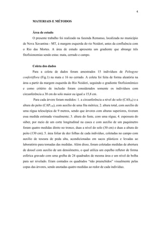 4
MATERIAIS E MÉTODOS
Área de estudo
O presente trabalho foi realizado na fazenda Remanso, localizada no município
de Nova Xavantina - MT, à margem esquerda do rio Noidori, antes da confluência com
o Rio das Mortes. A área de estudo apresenta um gradiente que abrange três
fitofisionomias sendo estas: mata, cerrado e campo.
Coleta dos dados
Para a coleta de dados foram amostrados 15 indivíduos de Peltogyne
confertiflora (Fig.1) na mata e 16 no cerrado. A coleta foi feita de forma aleatória na
área a partir da margem esquerda do Rio Noidori, seguindo o gradiente fitofisionômico
e como critério de inclusão foram considerados somente os indivíduos com
circunferência a 30 cm do solo maior ou igual a 15,8 cm.
Para cada árvore foram medidos: 1. a circunferência a nível do solo (CAS30) e a
altura do peito (CAP130), com auxílio de uma fita métrica; 2. altura total, com auxílio de
uma régua telescópica de 9 metros, sendo que árvores com alturas superiores, tiveram
essa medida estimada visualmente; 3. altura do fuste, com uma régua; 4. espessura do
súber, por meio de um corte longitudinal na casca e com auxílio de um paquímetro
foram quatro medidas direto no tronco, duas a nível do solo (30 cm) e duas a altura do
peito (130 cm); 5. área foliar de dez folhas de cada indivíduo, coletadas no campo com
auxílio de tesoura de poda alta, acondicionadas em sacos plásticos e levadas ao
laboratório para tomadas das medidas. Além disso, foram coletadas medidas de abertura
de dossel com auxílio de um densiômetro, o qual utiliza um espelho refletor de forma
esférica gravado com uma grelha de 24 quadrados de mesma área e um nível de bolha
para ser nivelado. Eram contados os quadrados “não preenchidos” visualmente pelas
copas das árvores, sendo anotadas quatro medidas ao redor de cada indivíduo.
 