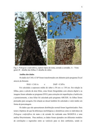 5
Fig.1- Peltogyne confertiflora, espécie típica de mata, cerrado e cerradão. A – Vista
geral; B – detalhe das folhas; C-detalhe do súber.
Análise dos dados
Os dados de CAS e CAP foram transformados em diâmetro pelo programa Excel
através da fórmula:
DAS = CAS /π e DAP = CAP/π
Foi calculada a espessura média do súber a 30 cm e a 130 cm. Em relação às
folhas, para o calculo da área foliar, estas foram fotografadas com câmera digital e as
imagens foram editadas no programa ENVI, para correções de imperfeições e herbivoria
e posteriormente, a área foliar foi calculada pelo programa ARCGIS. As folhas foram
prensadas para secagem. Em relação ao dossel também foi calculado o valor médio em
forma de porcentagem.
Os dados que não apresentaram distribuição normal foram logaritimizados. Para
testar a hipótese de que há diferenças morfológicas e alométricas entre os indivíduos de
Peltogyne confertiflora de mata e de cerrado foi realizada uma MANOVA e uma
análise Discriminante. Para análises, os dados foram ajustados em diferentes modelos
de correlações e regressões entre as variáveis para os dois ambientes, sendo os
 