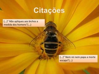 (...)” Não apliques aos bichos a
medida dos homens”(...)




                                   (...)” Nem rei nem papa a morte
                                   escapa”(...)
 