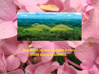 BUROL Ang burol ay mas mababa o mas maliit kaysa sa bundok. 