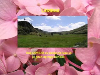 LAMBAK Ang LAMBAK ay patag na lupa sa pagitan ng mga bundok. 