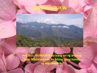BULUBUNDUKIN Ang BULUBUNDUKIN ay isang uri ng anyong lupa. Mailalarawan ito bilang isang hanay ng mga bundok. 