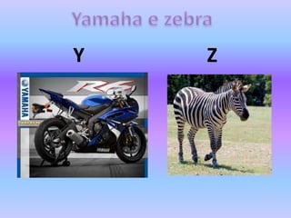 Y Z
 