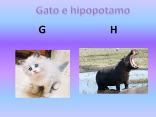 G H
 
