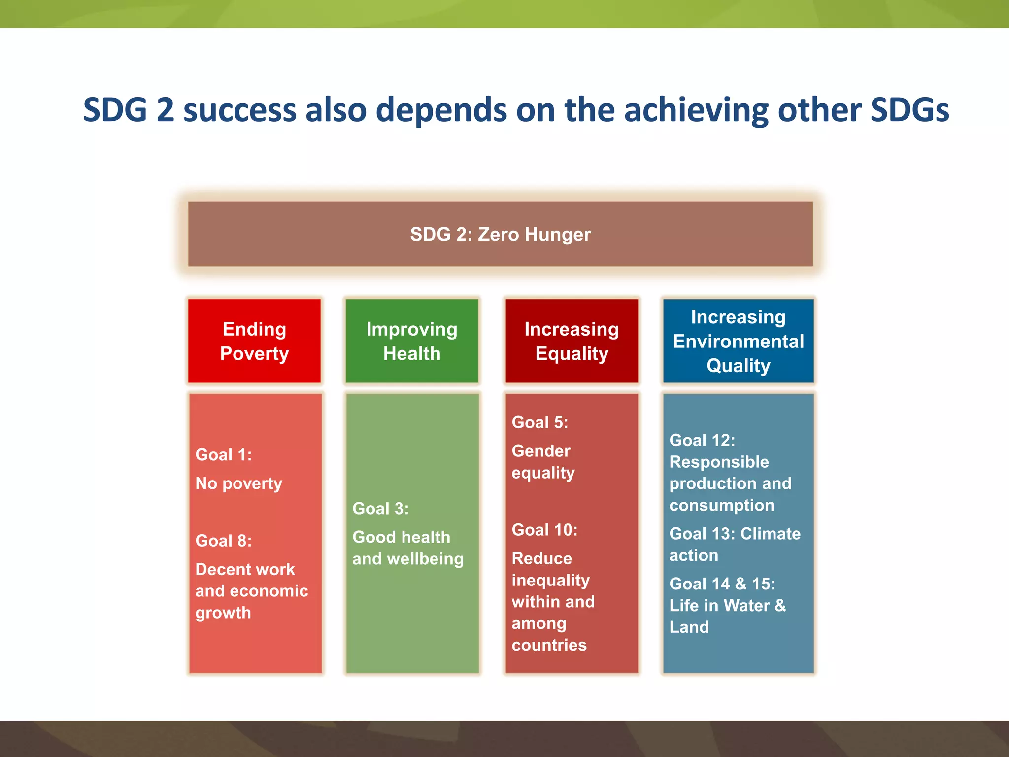 SDG 2 success also depends on the achieving other SDGs
SDG 2: Zero Hunger
Ending
Poverty
Increasing
Environmental
Quality
Improving
Health
Goal 1:
No poverty
Goal 8:
Decent work
and economic
growth
Increasing
Equality
Goal 3:
Good health
and wellbeing
Goal 5:
Gender
equality
Goal 10:
Reduce
inequality
within and
among
countries
Goal 12:
Responsible
production and
consumption
Goal 13: Climate
action
Goal 14 & 15:
Life in Water &
Land
 