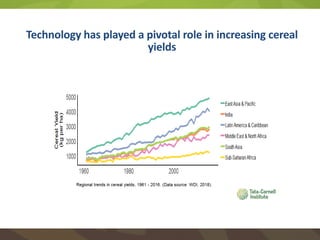 Achieving SDG2 by 2030 through food systems transformations: Implications for Asia