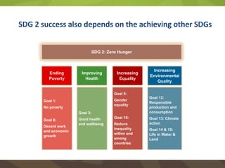 Achieving SDG2 by 2030 through food systems transformations: Implications for Asia