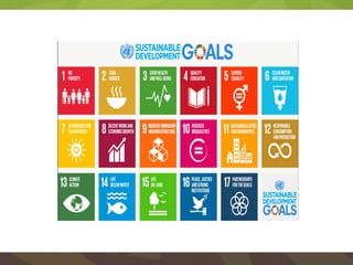 Achieving SDG2 by 2030 through food systems transformations: Implications for Asia