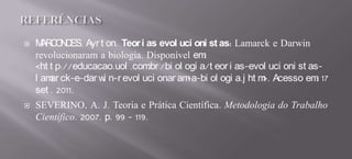 Teoria e Prática Científica SEVERINO (2007)